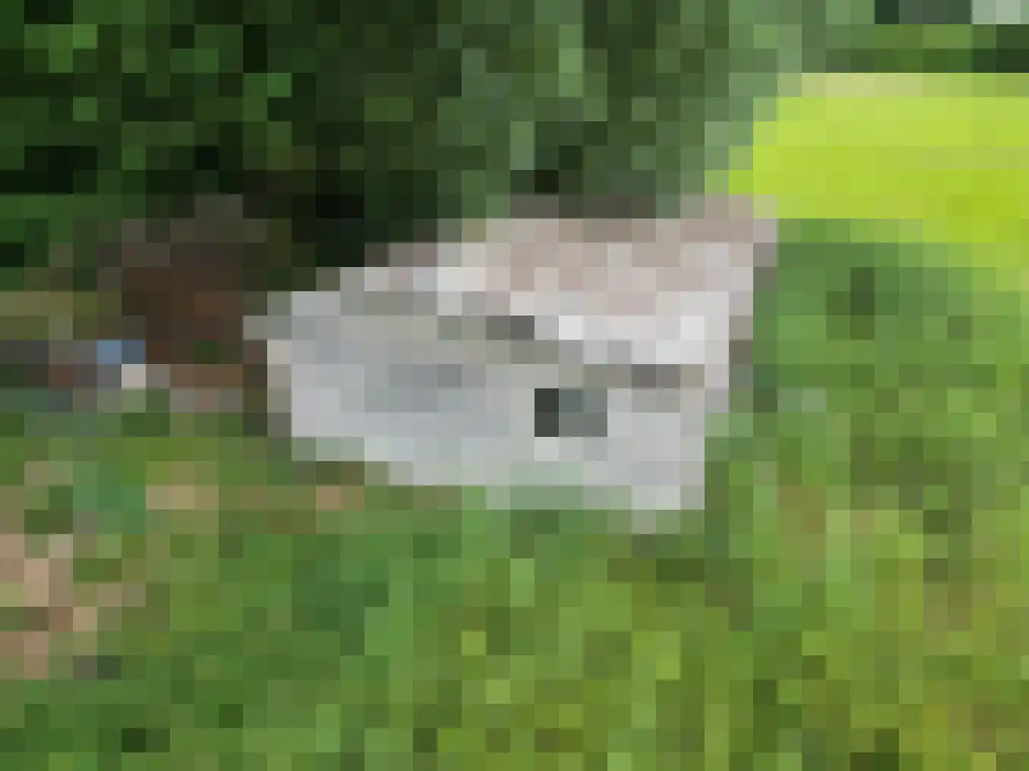 Oosterend 2 A Oosterend thumbnail 6