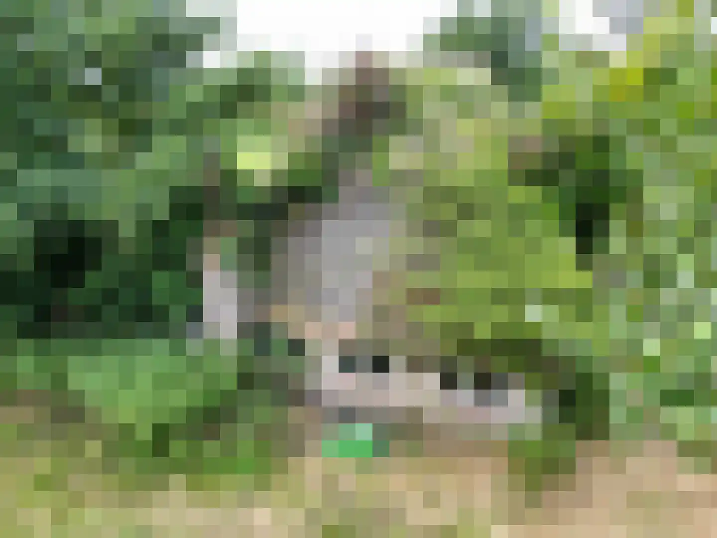 Oosterend 2 A Oosterend thumbnail 7