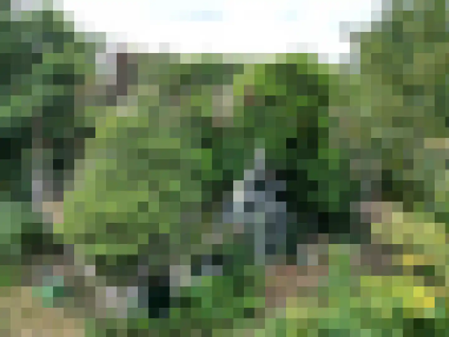 Oosterend 2 A Oosterend thumbnail 8