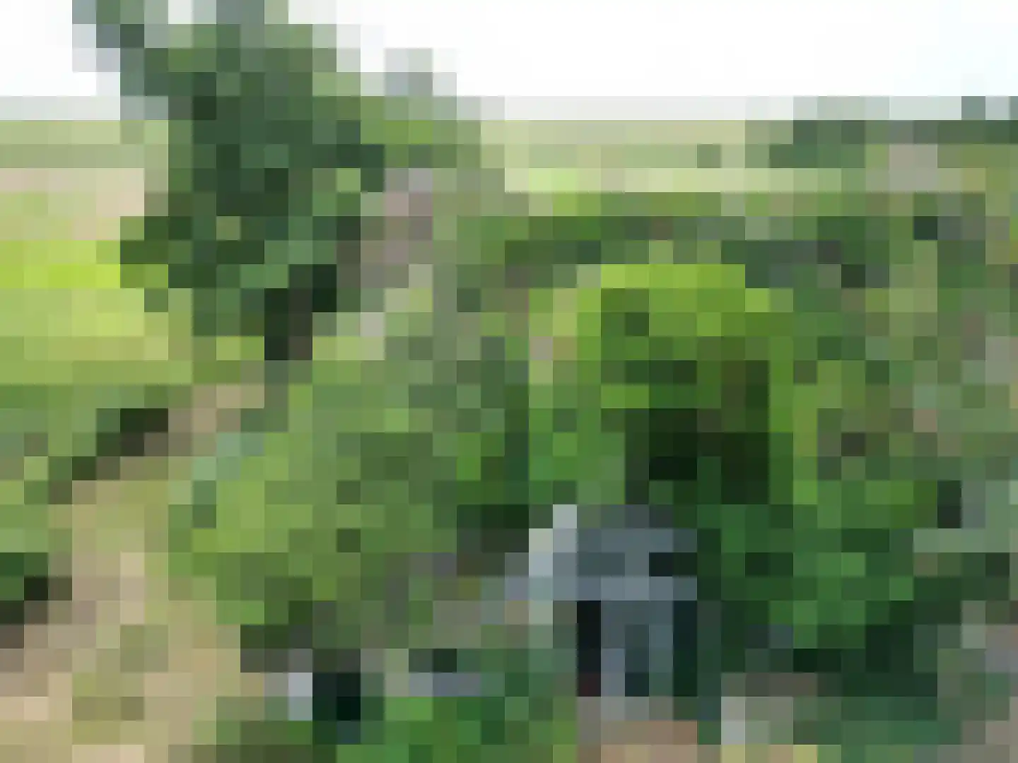 Oosterend 2 A Oosterend thumbnail 9