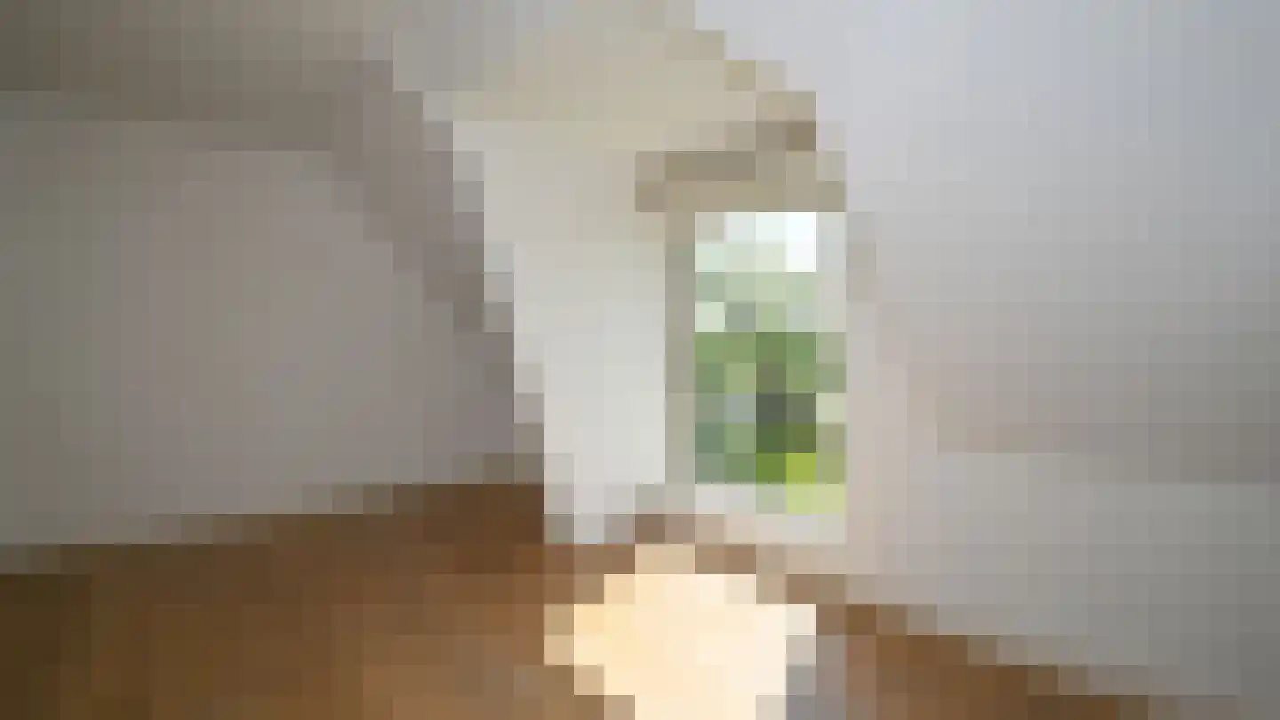 Oosterend 3 Oosterend thumbnail 19