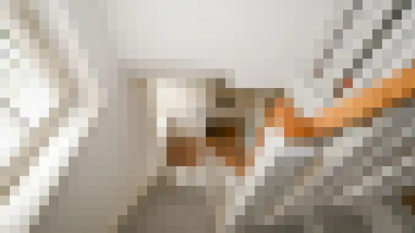 Oosterend 3 Oosterend thumbnail 21