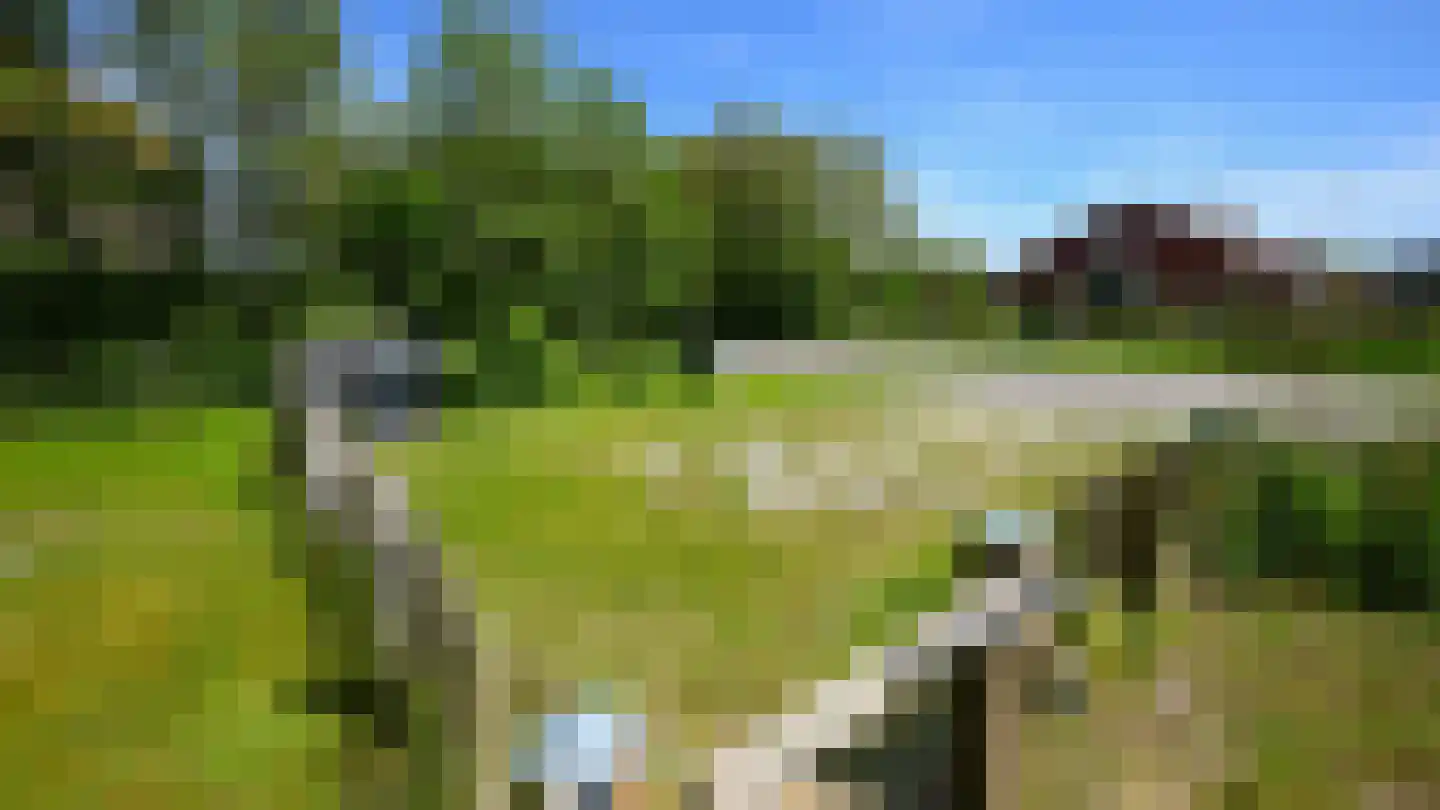 Oosterend 3 Oosterend thumbnail 27