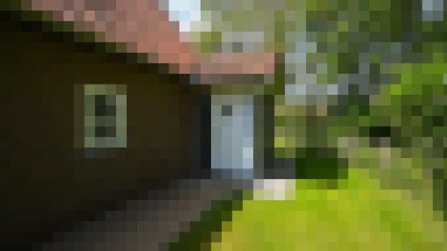 Oosterend 3 Oosterend thumbnail 29