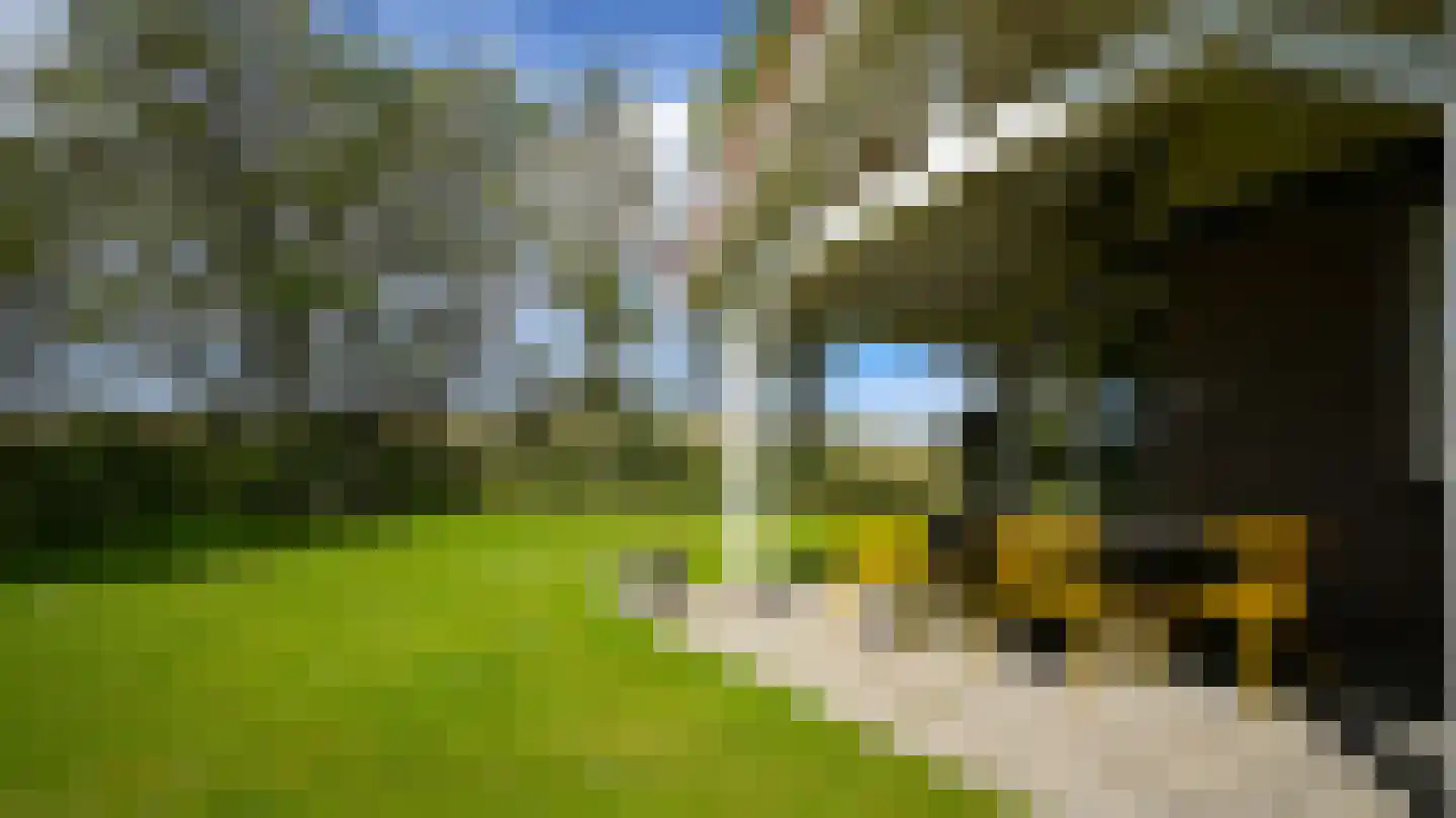 Oosterend 3 Oosterend thumbnail 32