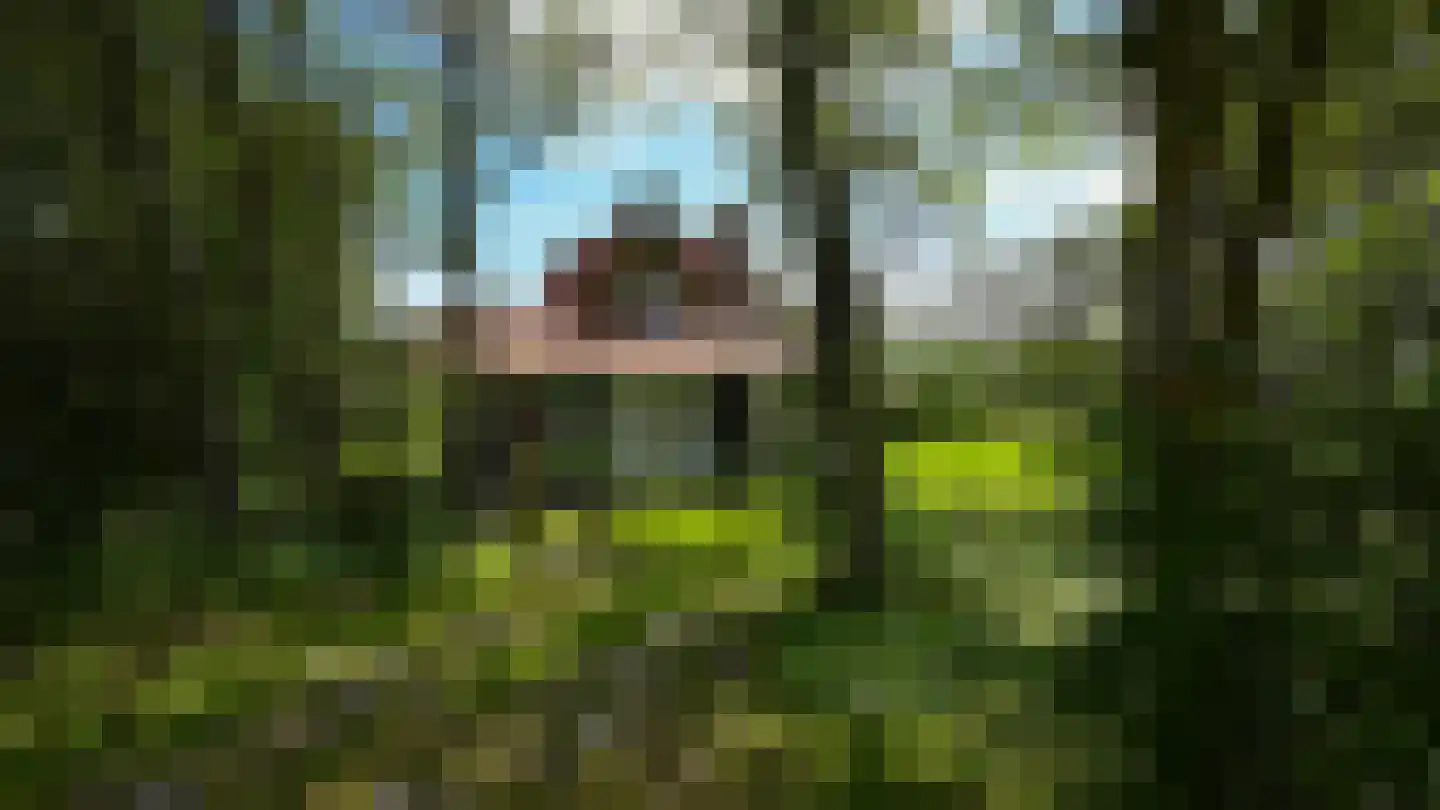 Oosterend 3 Oosterend thumbnail 55