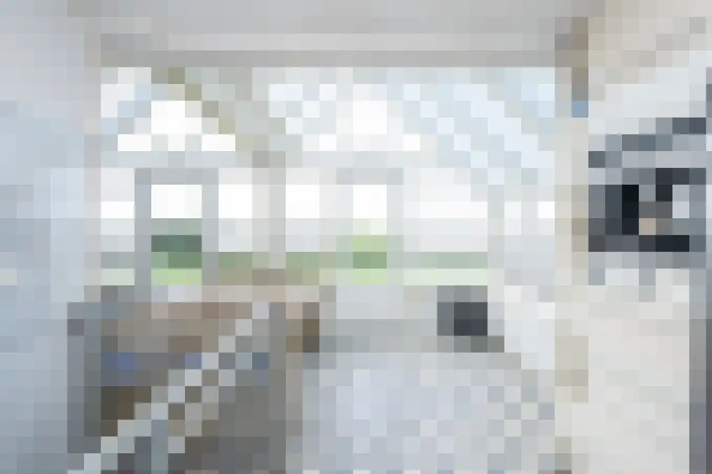 Oosterenderweg 34 Oosterend thumbnail 29
