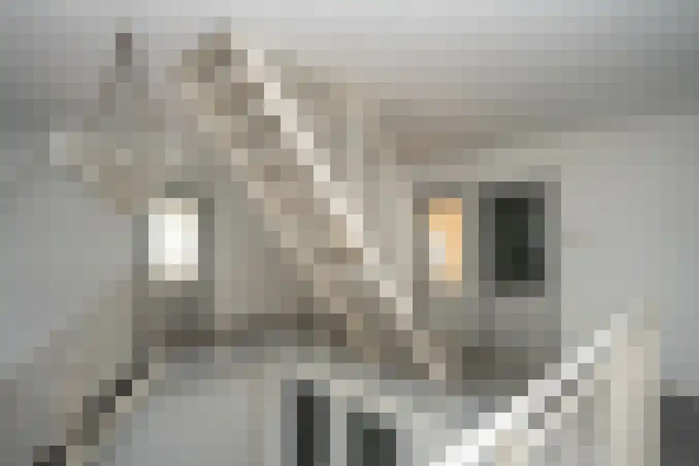 Oosterenderweg 34 Oosterend thumbnail 49
