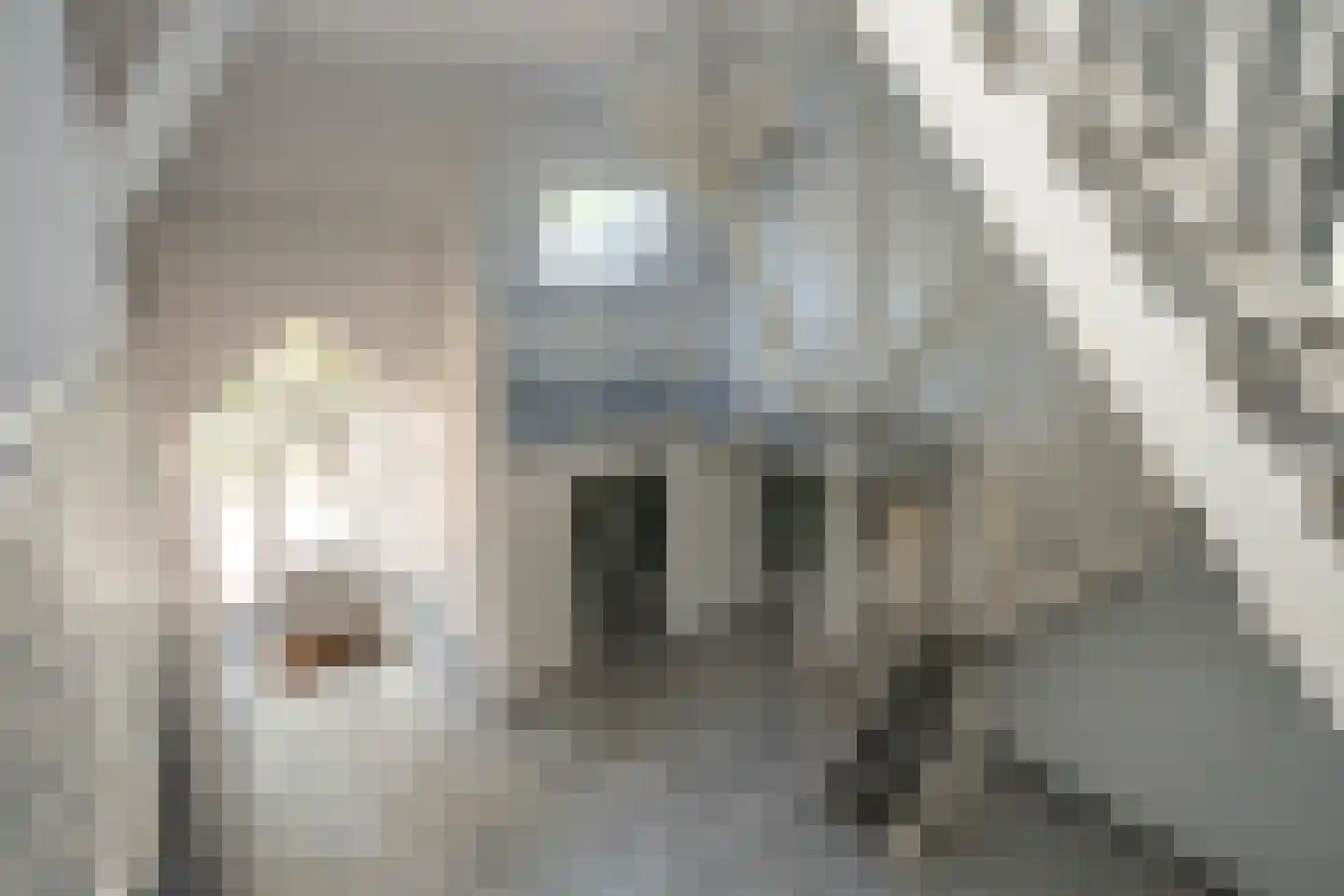 Oosterenderweg 34 Oosterend thumbnail 50
