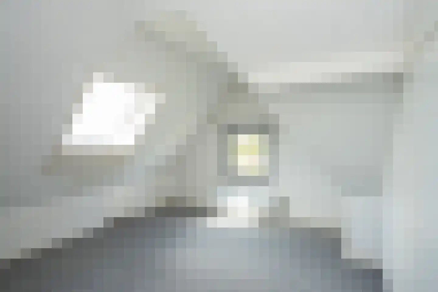 Oosterenderweg 34 Oosterend thumbnail 51