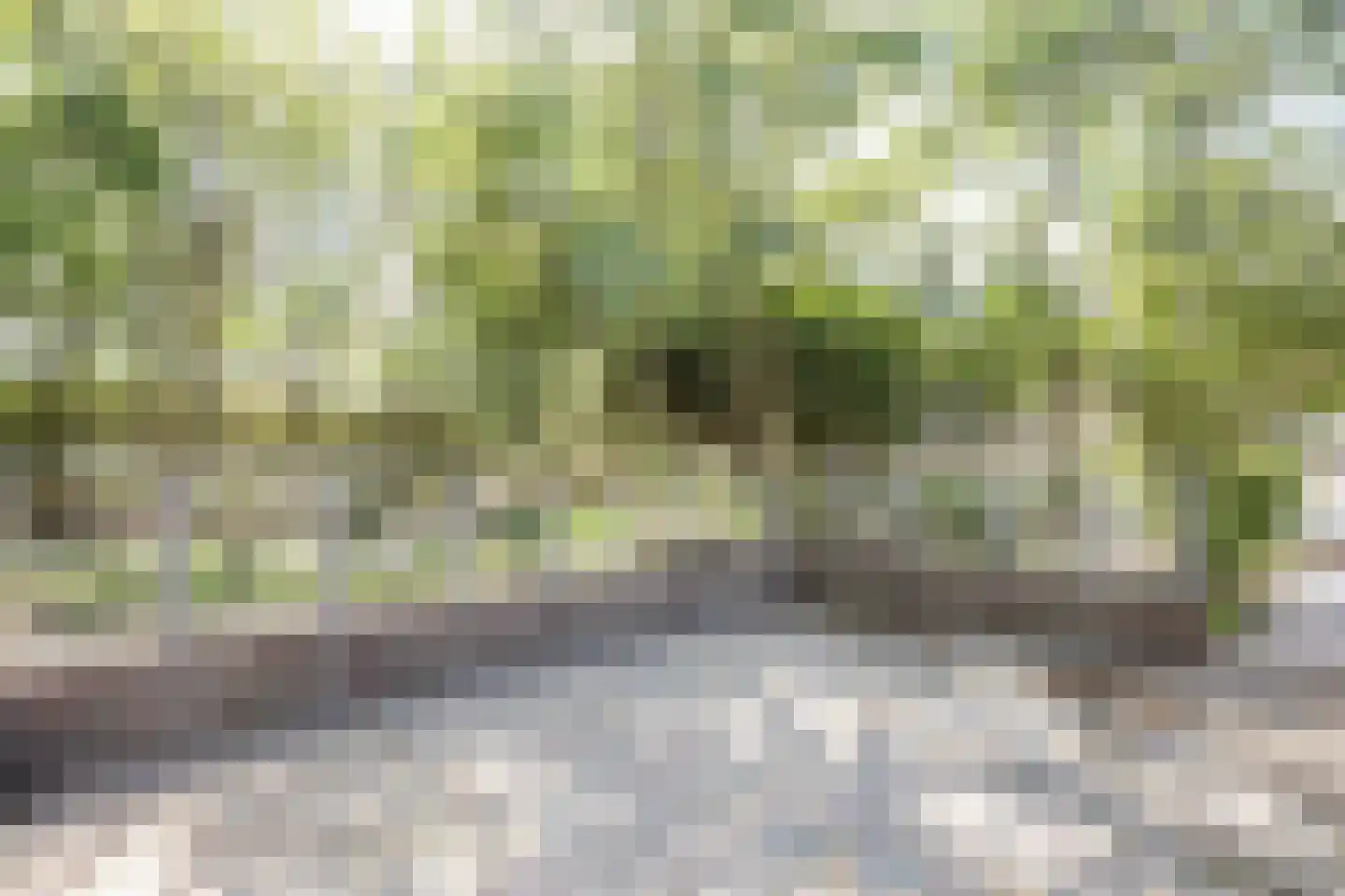 Oosterenderweg 34 Oosterend thumbnail 64