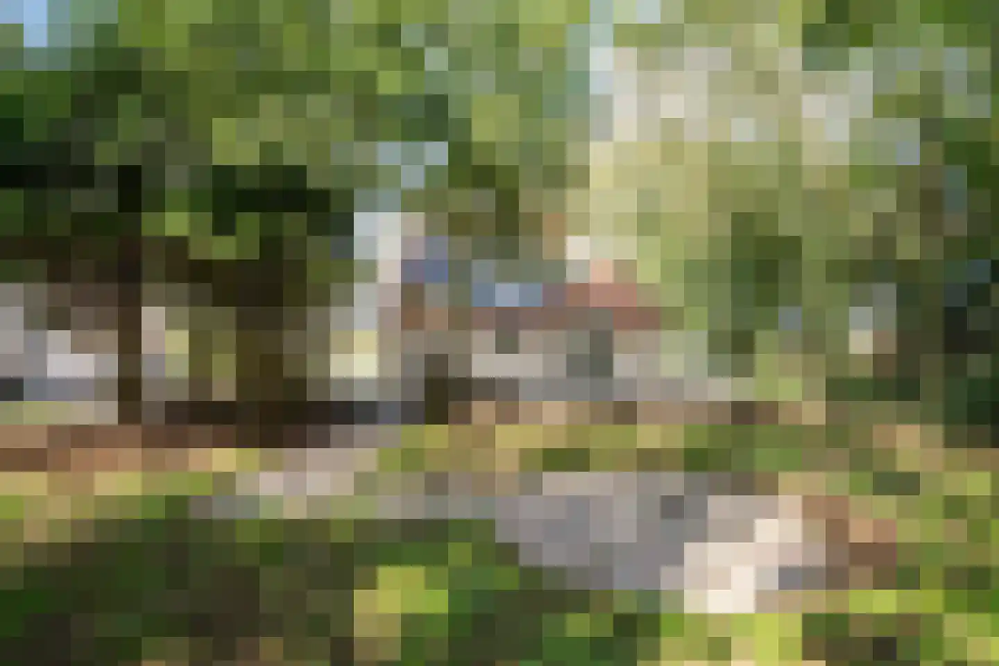 Oosterenderweg 34 Oosterend thumbnail 65
