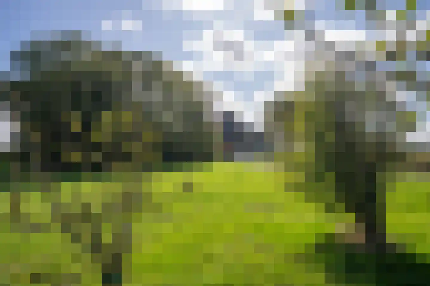 Oosterenderweg 34 Oosterend thumbnail 86
