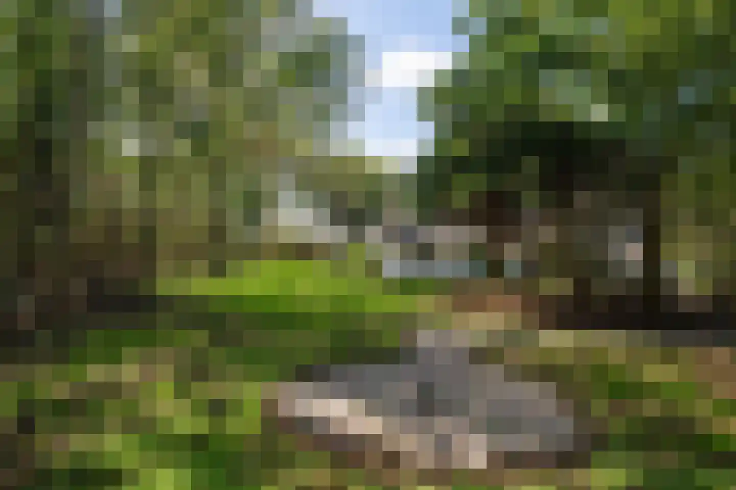 Oosterenderweg 34 Oosterend thumbnail 91