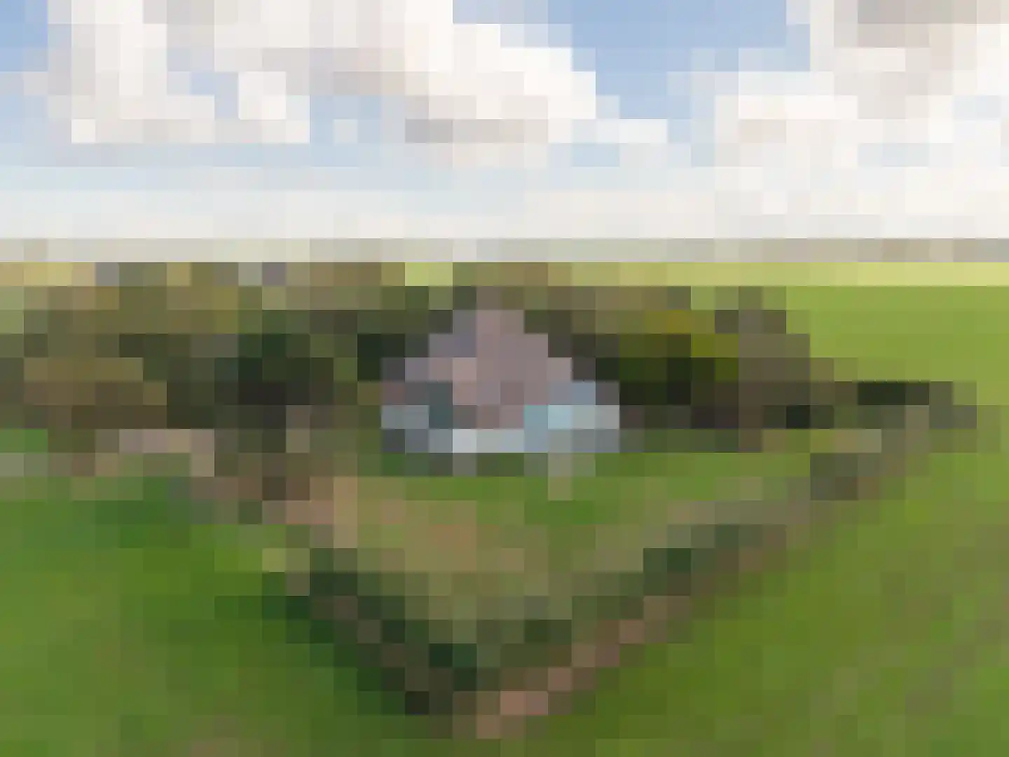 Oosterenderweg 34 Oosterend thumbnail 92
