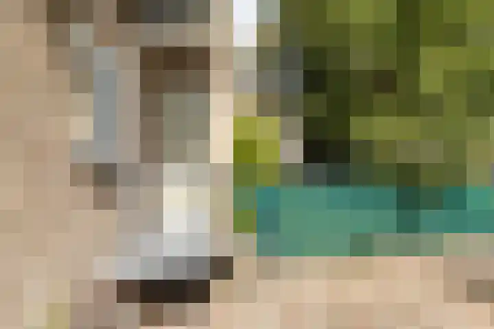 Oosterengweg 105 Hilversum thumbnail 22