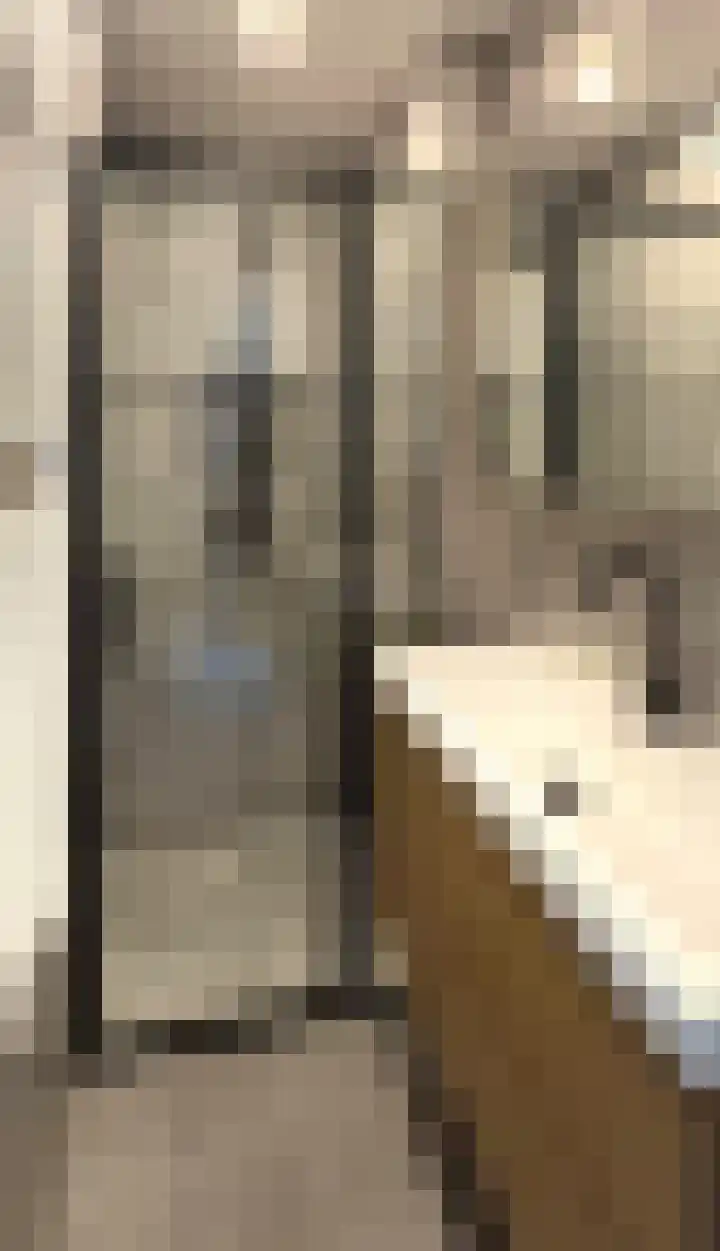 Oosterengweg 116 Hilversum thumbnail 10