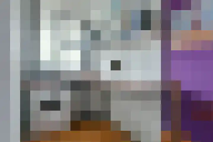 Oosterengweg 116 Hilversum thumbnail 11