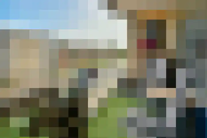 Oosterengweg 116 Hilversum thumbnail 7