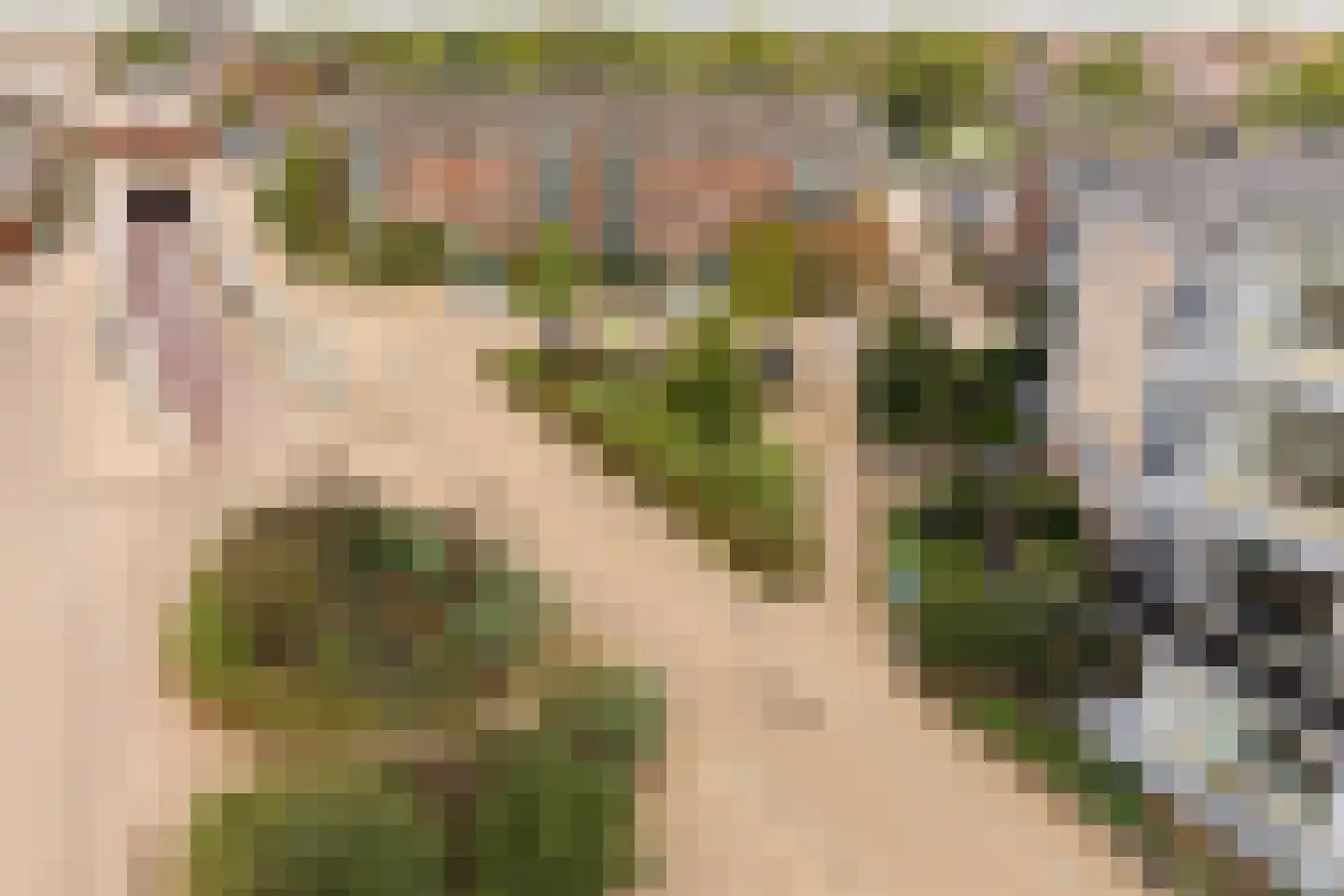 Oosterengweg 119 Hilversum thumbnail 29
