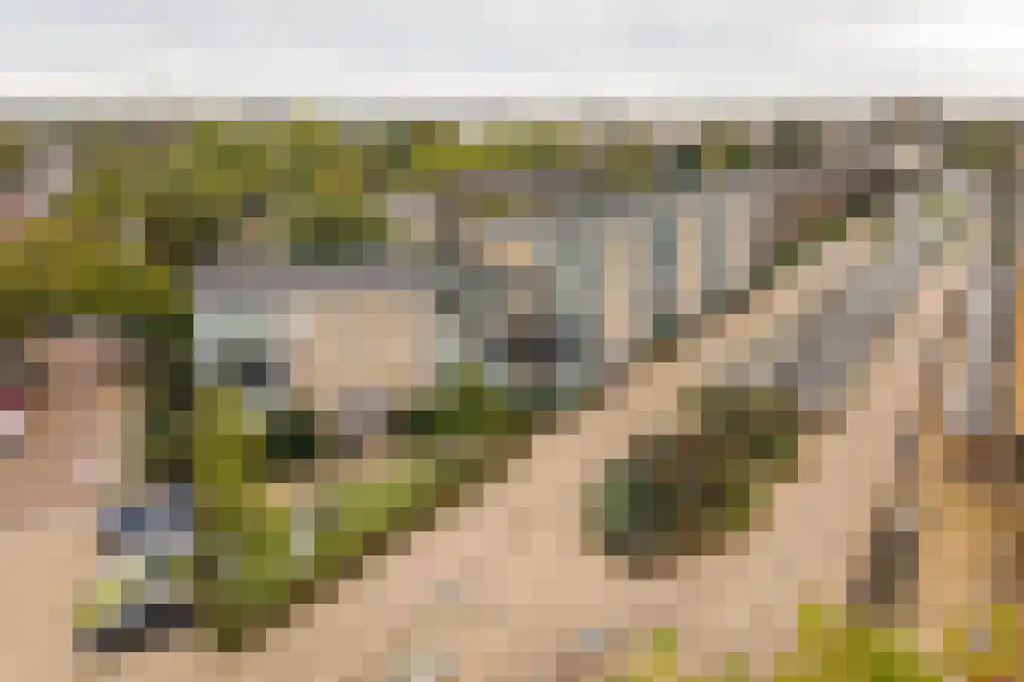 Oosterengweg 119 Hilversum thumbnail 7