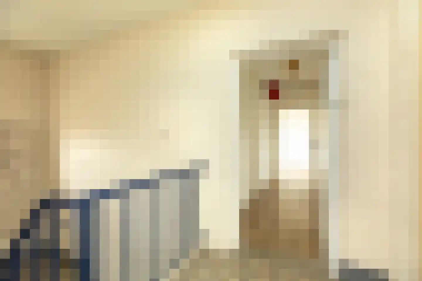 Oosterengweg 119 Hilversum thumbnail 9