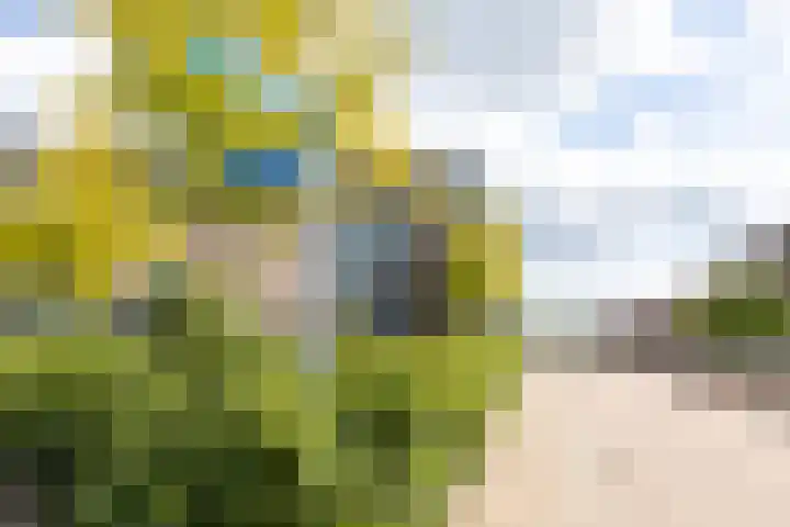 Oosterengweg 125 Hilversum thumbnail 22