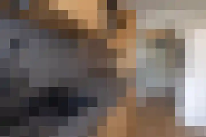 Oosterengweg 237 Hilversum thumbnail 16