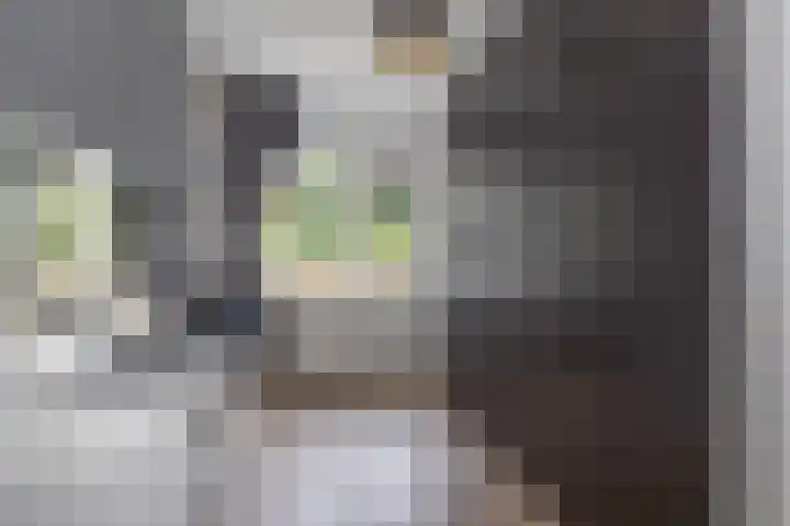 Oosterengweg 237 Hilversum thumbnail 22