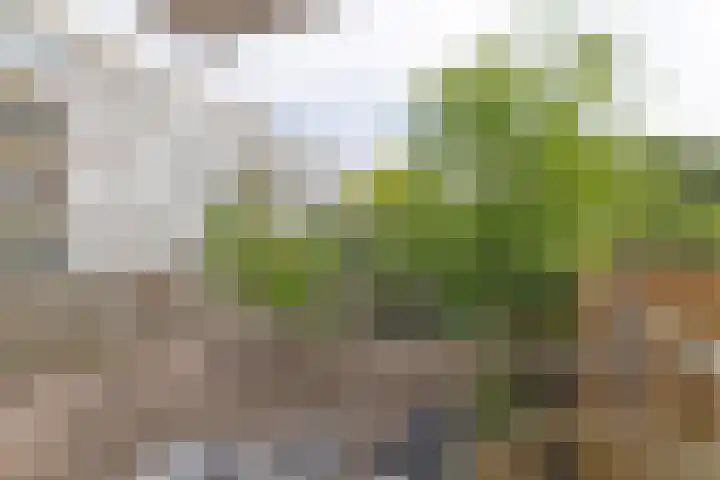 Oosterengweg 237 Hilversum thumbnail 24