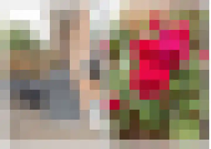 Oosterengweg 237 Hilversum thumbnail 25