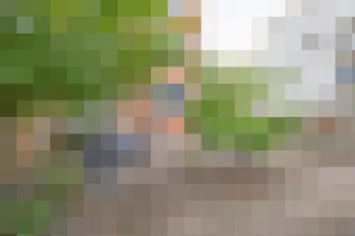 Oosterengweg 237 Hilversum thumbnail 28
