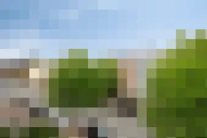 Oosterengweg 296 Hilversum thumbnail 17