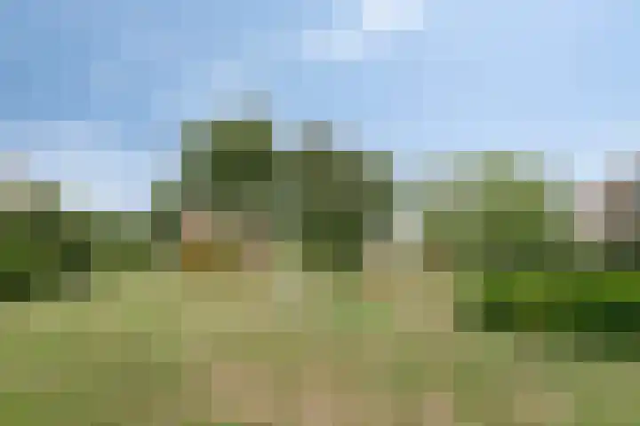Oosterengweg 296 Hilversum thumbnail 22