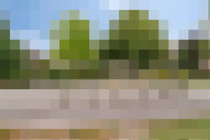 Oosterengweg 296 Hilversum thumbnail 23