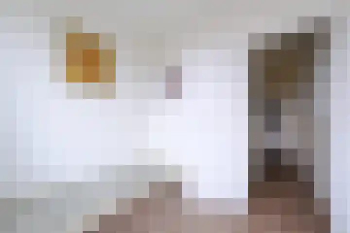 Oosterengweg 306 Hilversum thumbnail 11