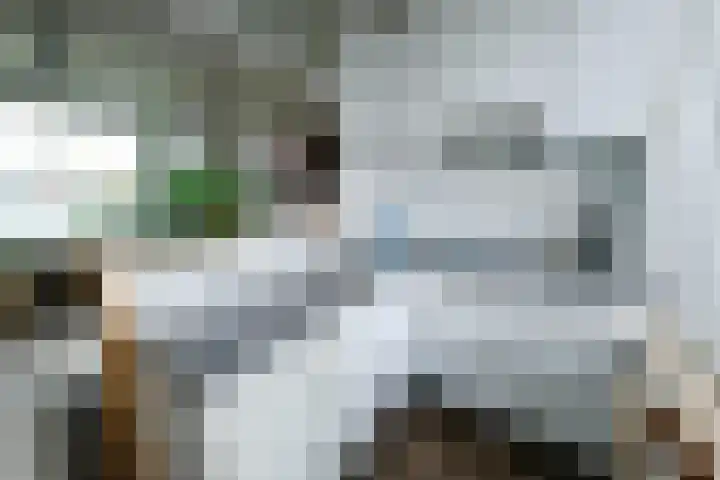 Oosterengweg 306 Hilversum thumbnail 7