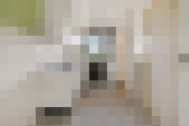 Oosterengweg 326 Hilversum thumbnail 10