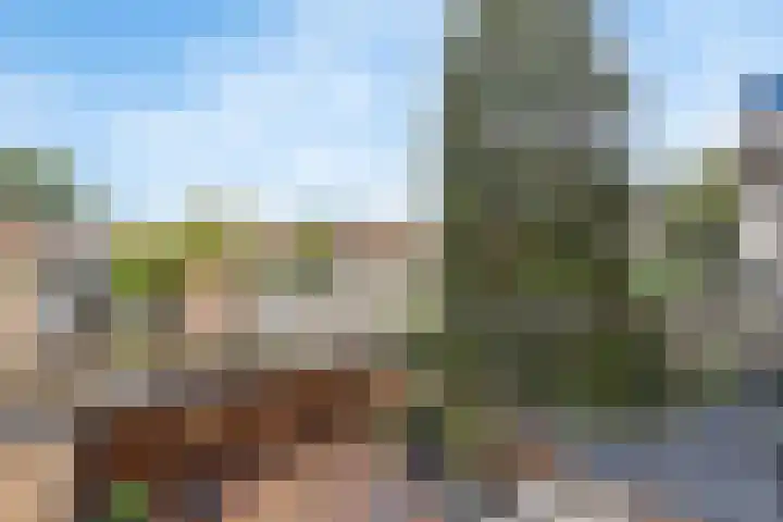 Oosterengweg 326 Hilversum thumbnail 16