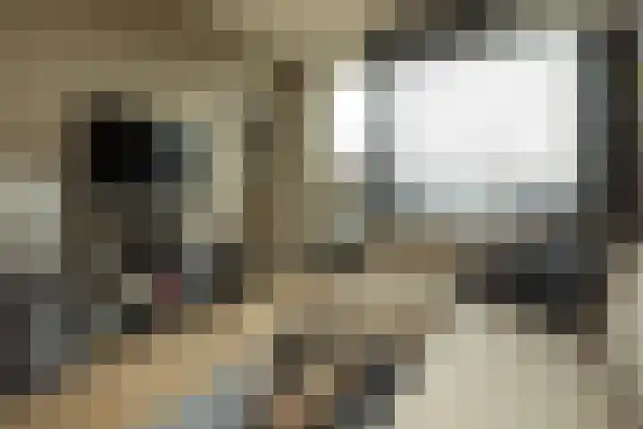 Oosterengweg 338 Hilversum thumbnail 4