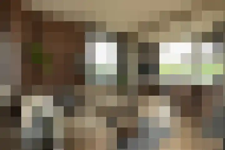 Oosterengweg 338 Hilversum thumbnail 6
