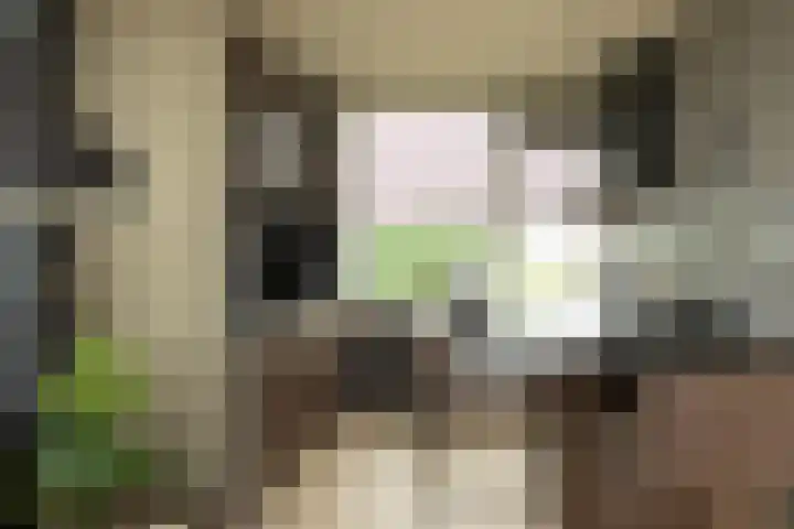 Oosterengweg 338 Hilversum thumbnail 7