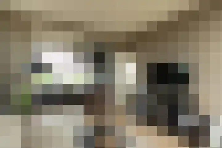 Oosterengweg 338 Hilversum thumbnail 8
