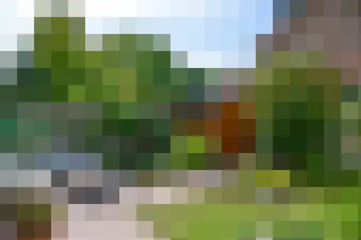 Oosterengweg 340 Hilversum thumbnail 13