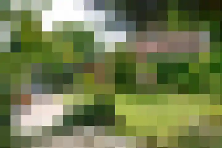 Oosterengweg 340 Hilversum thumbnail 14
