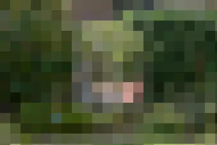 Oosterengweg 340 Hilversum thumbnail 15