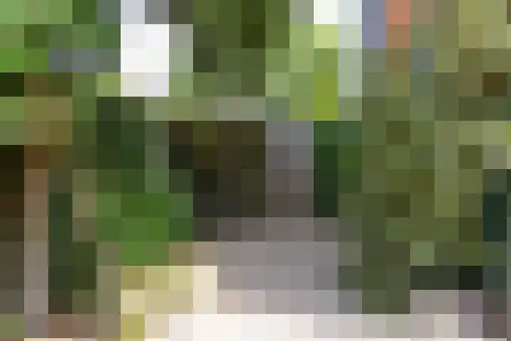 Oosterengweg 340 Hilversum thumbnail 16