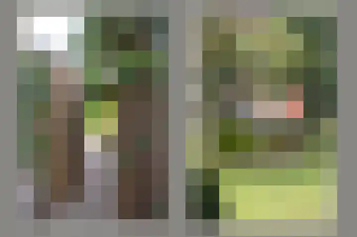 Oosterengweg 340 Hilversum thumbnail 19