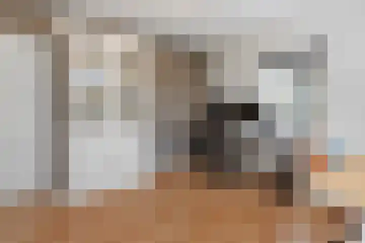 Oosterengweg 359 Hilversum thumbnail 26
