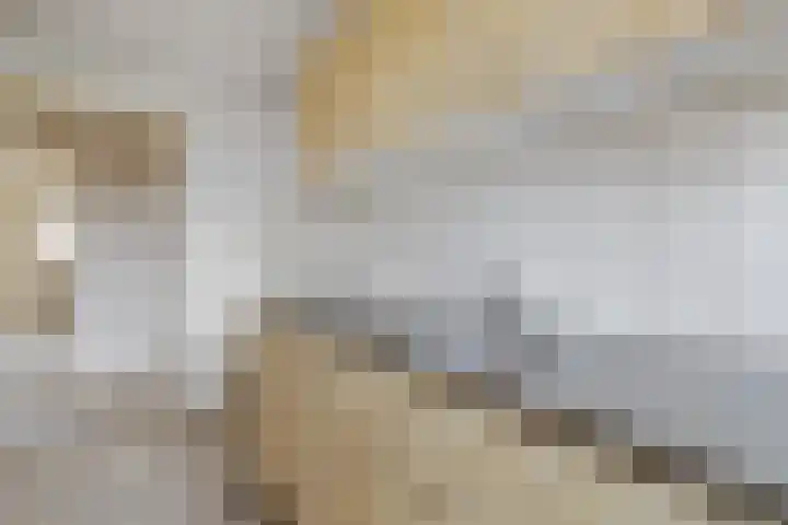Oosterengweg 360 Hilversum thumbnail 11